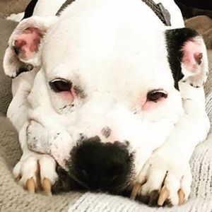 Meet your Posher, Bonnie